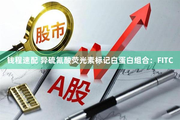 钱程速配 异硫氰酸荧光素标记白蛋白组合：FITC