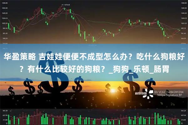 华盈策略 吉娃娃便便不成型怎么办?吃什么狗粮好?有什么比较好的狗粮?_狗狗_乐顿_肠胃