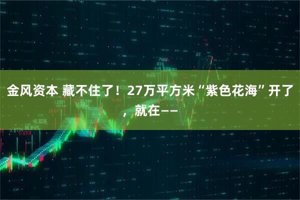 金风资本 藏不住了！27万平方米“紫色花海”开了，就在——