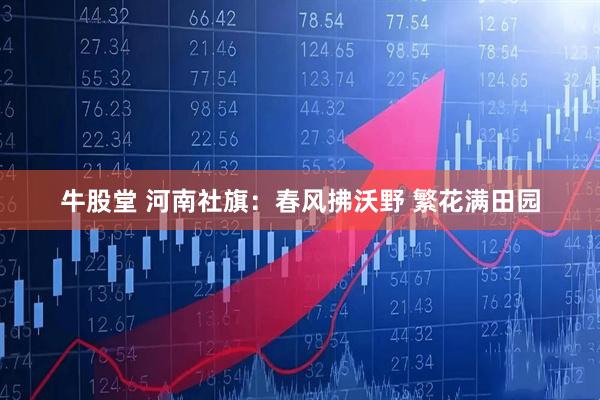 牛股堂 河南社旗：春风拂沃野 繁花满田园
